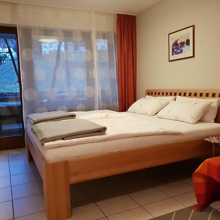 City Appartement 5 فرايبورغ المظهر الخارجي الصورة