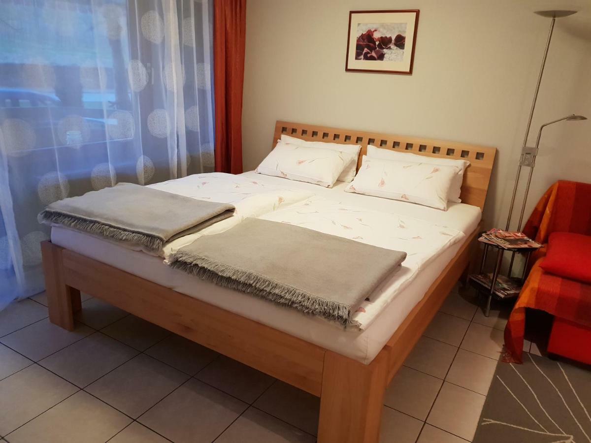 City Appartement 5 فرايبورغ المظهر الخارجي الصورة