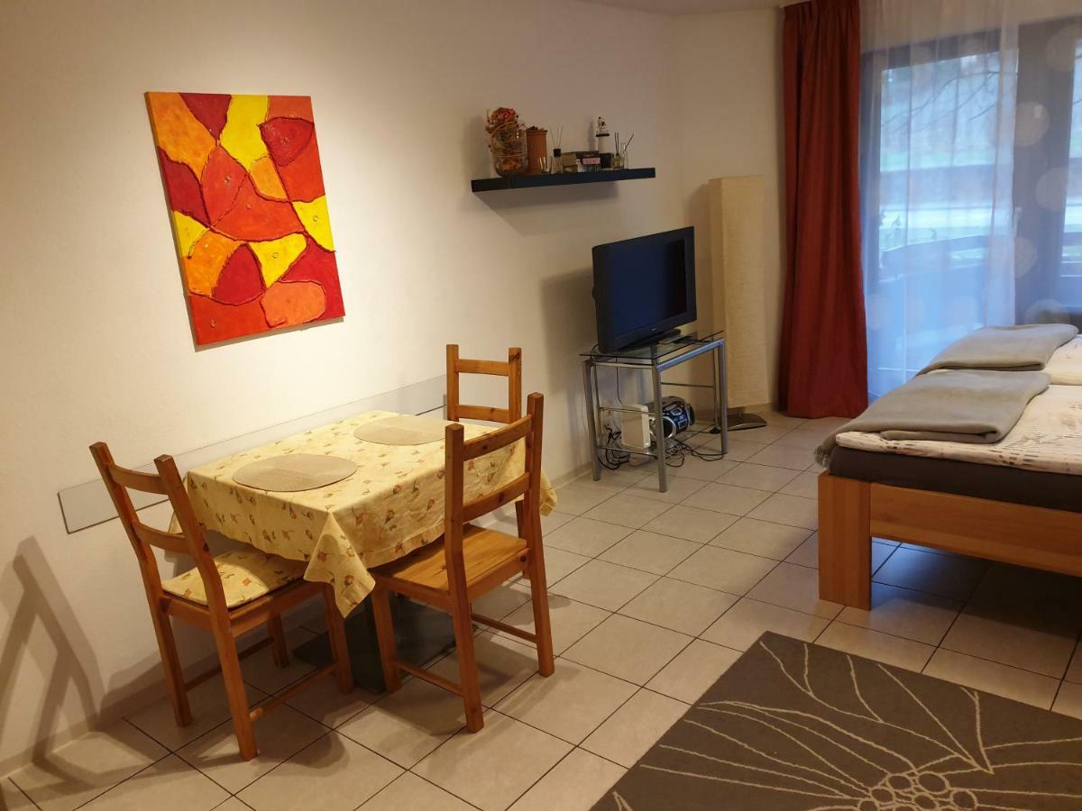 City Appartement 5 فرايبورغ المظهر الخارجي الصورة